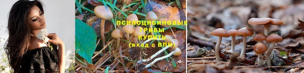 наркотики Абинск
