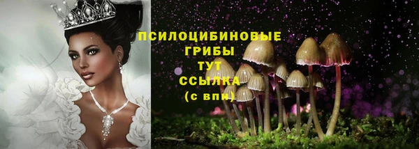 сатива Алексеевка